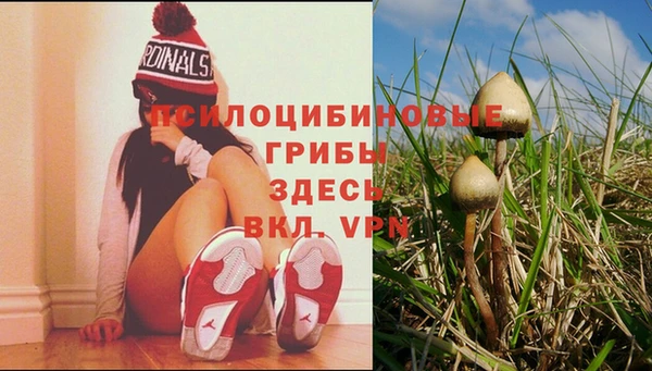ECSTASY Арсеньев